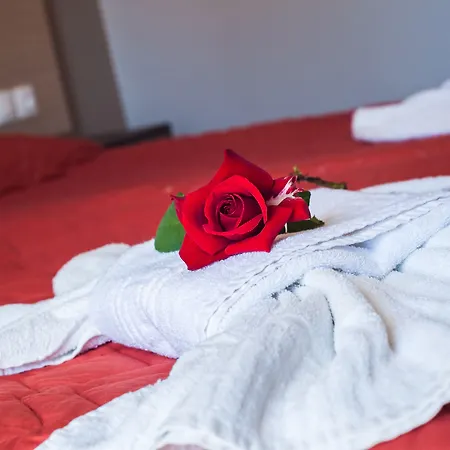 酒店 Garden Palace