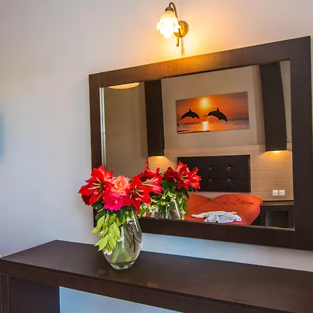 酒店 Garden Palace 4*