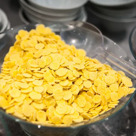 酒店 Garden Palace 4*